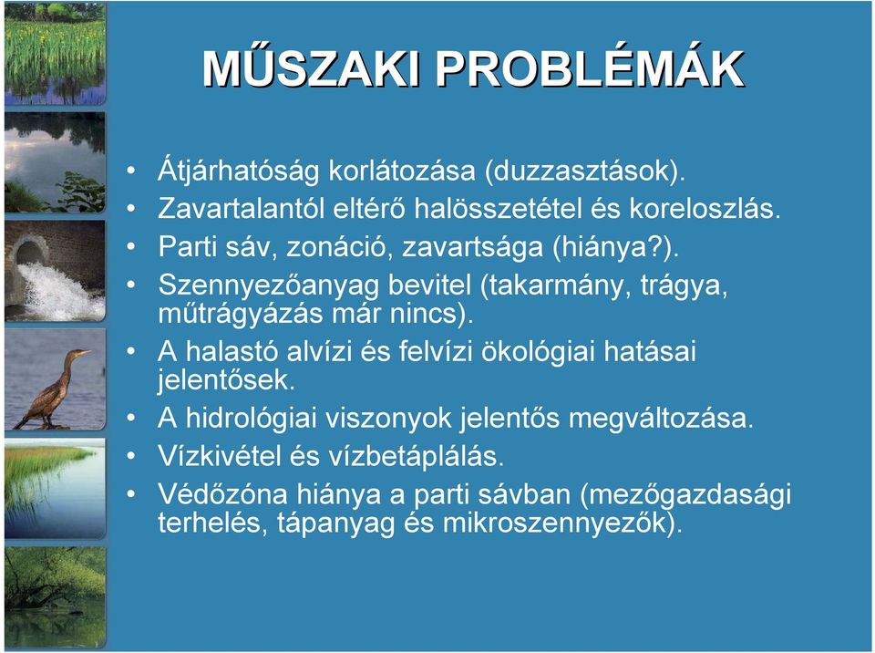 A halastó alvízi és felvízi ökológiai hatásai jelentősek. A hidrológiai viszonyok jelentős megváltozása.