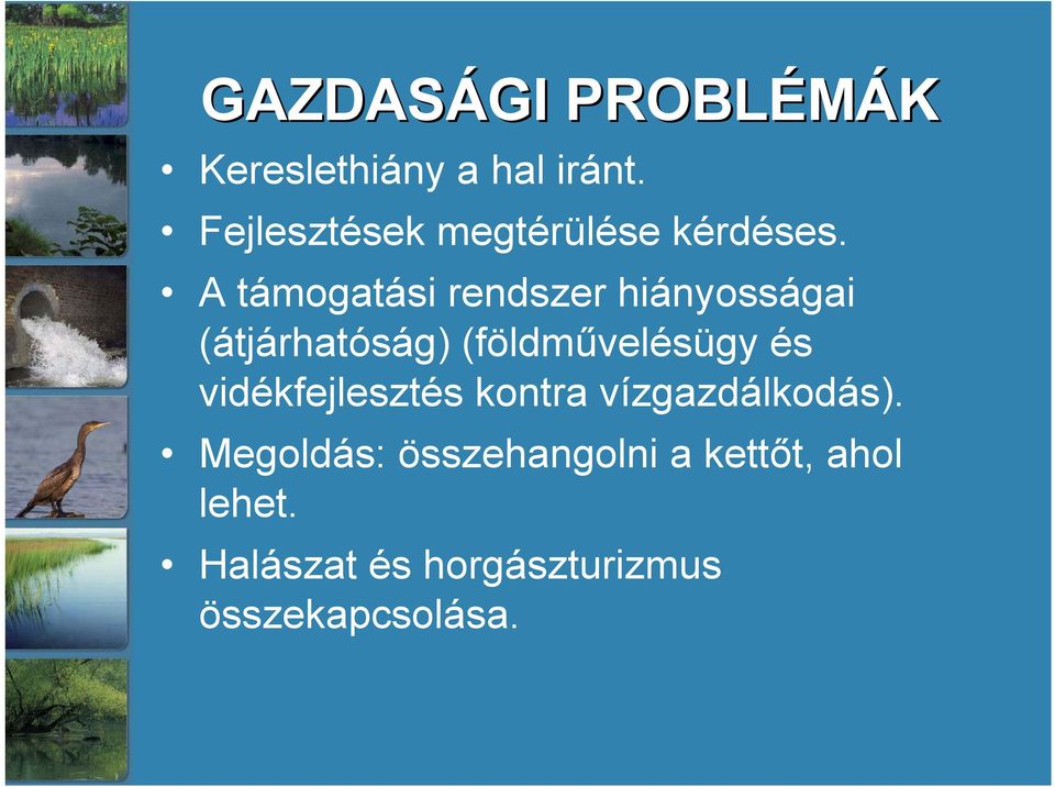 A támogatási rendszer hiányosságai (átjárhatóság) (földművelésügy és