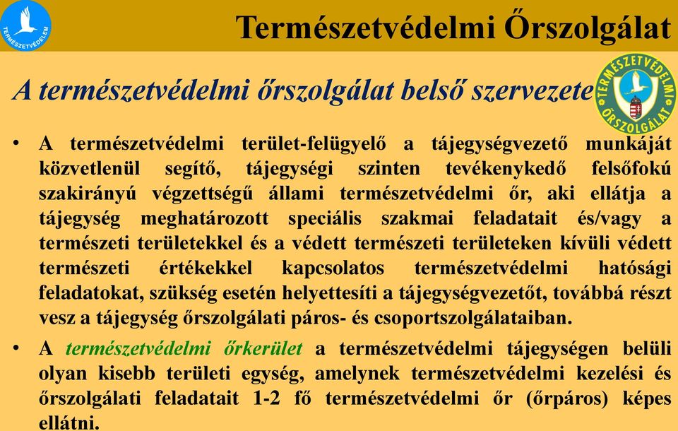 természeti értékekkel kapcsolatos természetvédelmi hatósági feladatokat, szükség esetén helyettesíti a tájegységvezetőt, továbbá részt vesz a tájegység őrszolgálati páros- és