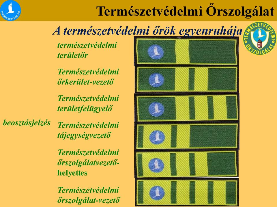 természetvédelmi őrök egyenruhája beosztásjelzés Természetvédelmi