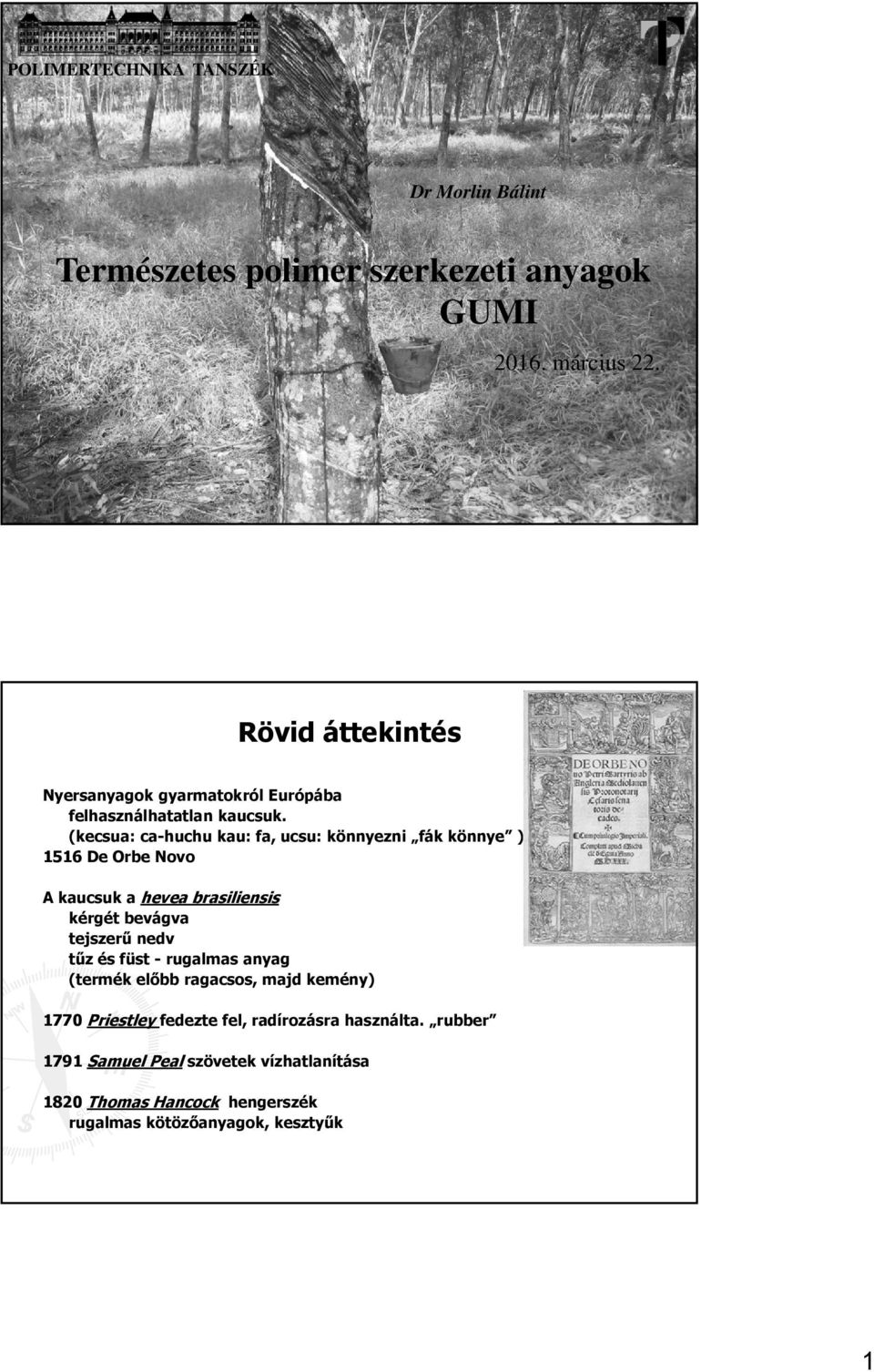 1516 De Orbe Novo A kaucsuk a hevea brasiliensis kérgét bevágva tejszerű nedv tűz és füst - rugalmas anyag (termék előbb ragacsos, majd