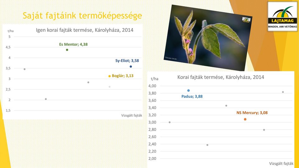 Korai fajták termése, Károlyháza, 2014 2,5 2 4,00 3,80 3,60 Padua; 3,88 1,5