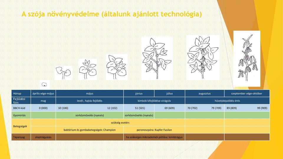 (501) 69 (609) 70 (702) 79 (709) 89 (809) 99 (909) Gyomirtás sorközművelés (nyesés) sorközművelés (nyesés) Betegségek baktérium és