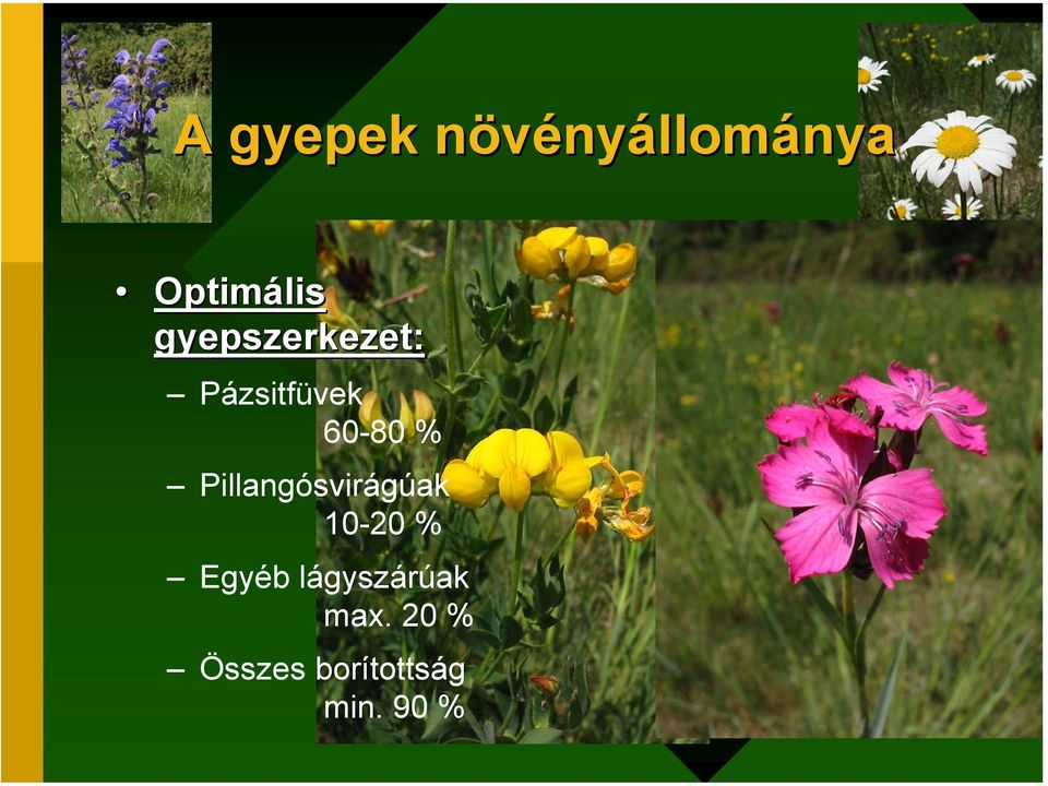 Pillangósvirágúak 10-20 % Egyéb