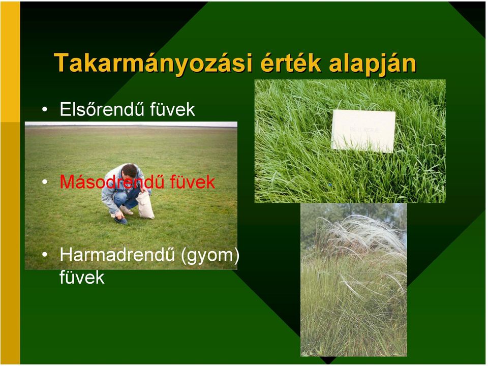 füvek Másodrendű