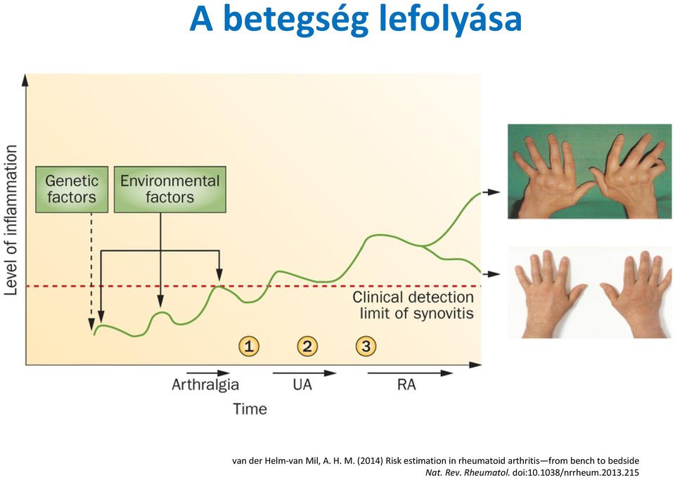 (2014) Risk estimation in rheumatoid