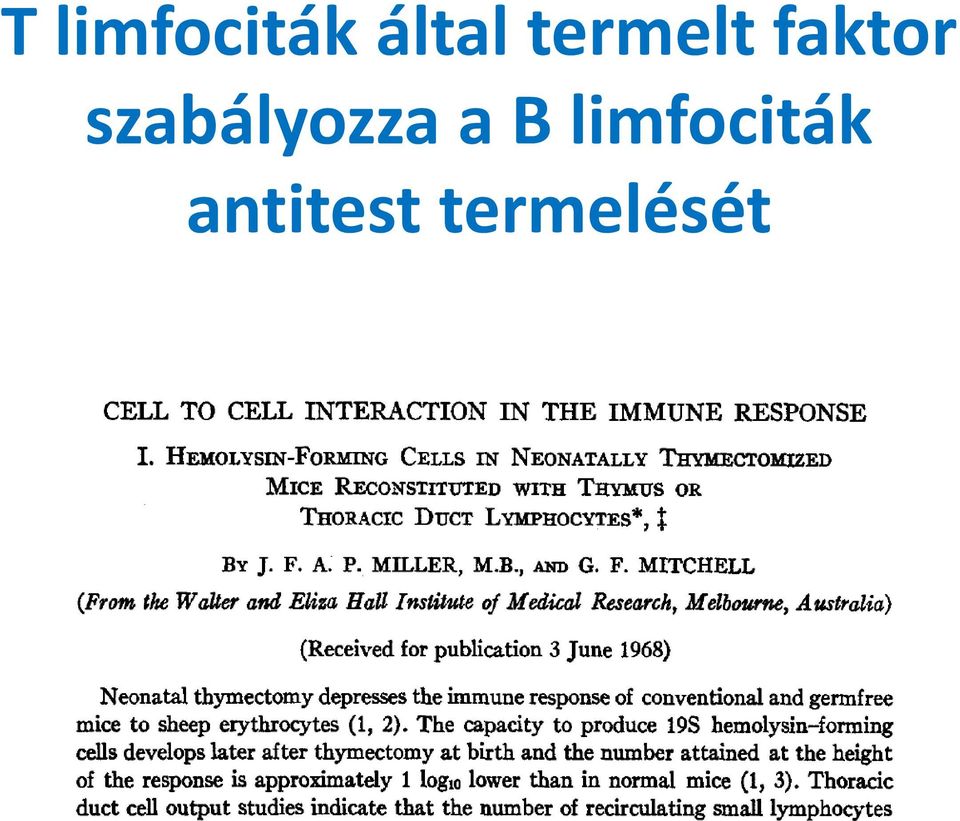 szabályozza a B