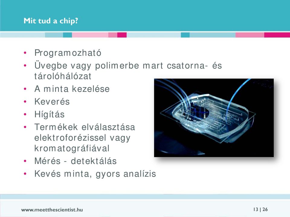 tárolóhálózat A minta kezelése Keverés Hígítás Termékek