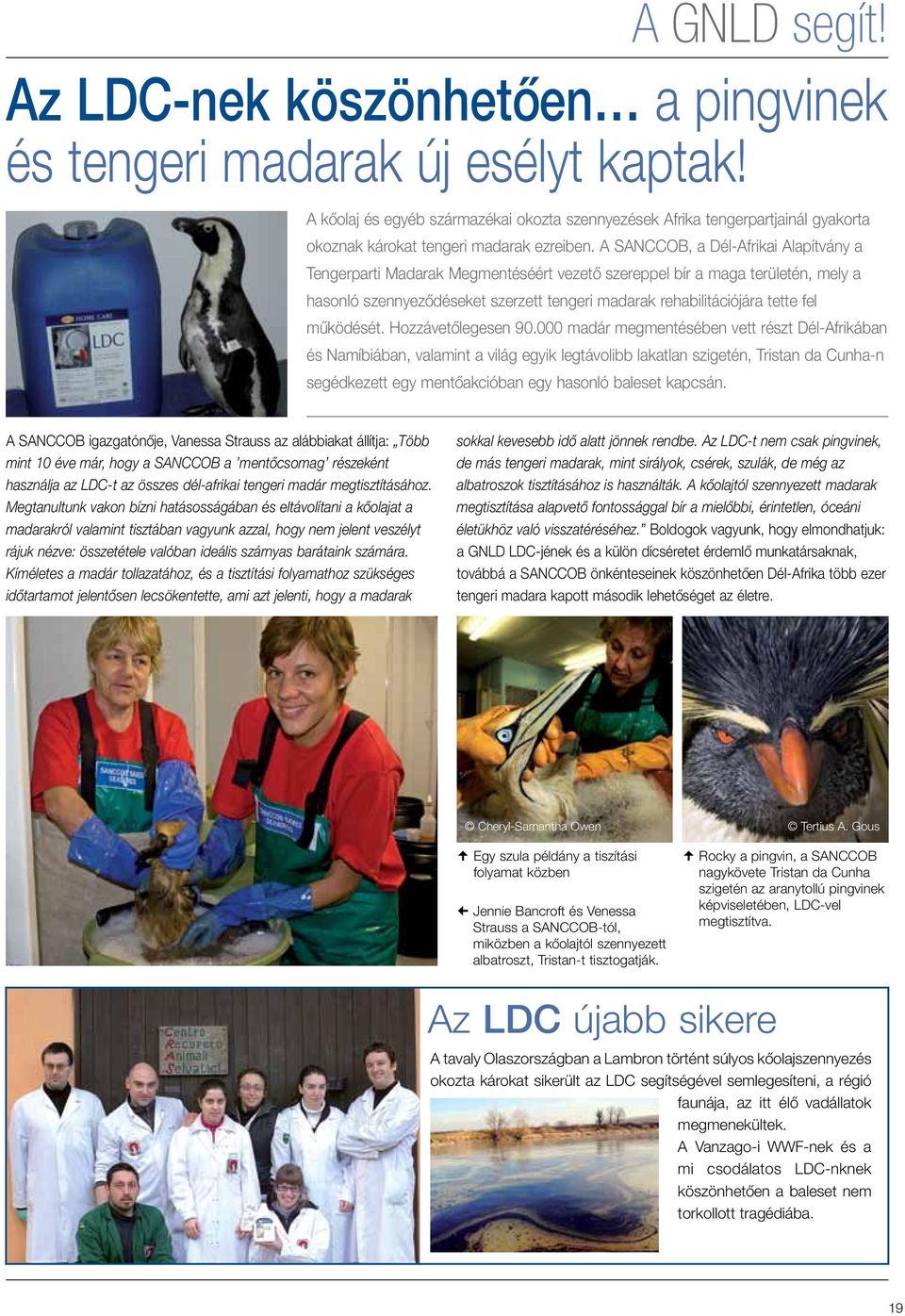 A SANCCOB, a Dél-Afrikai Alapítvány a Tengerparti Madarak Megmentéséért vezető szereppel bír a maga területén, mely a hasonló szennyeződéseket szerzett tengeri madarak rehabilitációjára tette fel