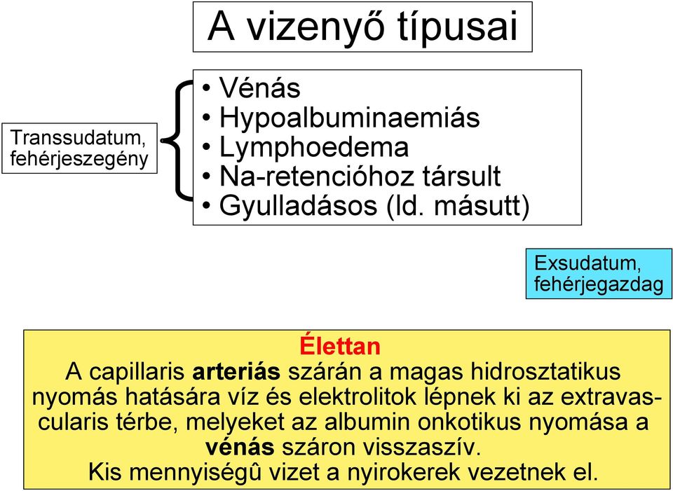 másutt) Exsudatum, fehérjegazdag Élettan A capillaris arteriás szárán a magas hidrosztatikus nyomás