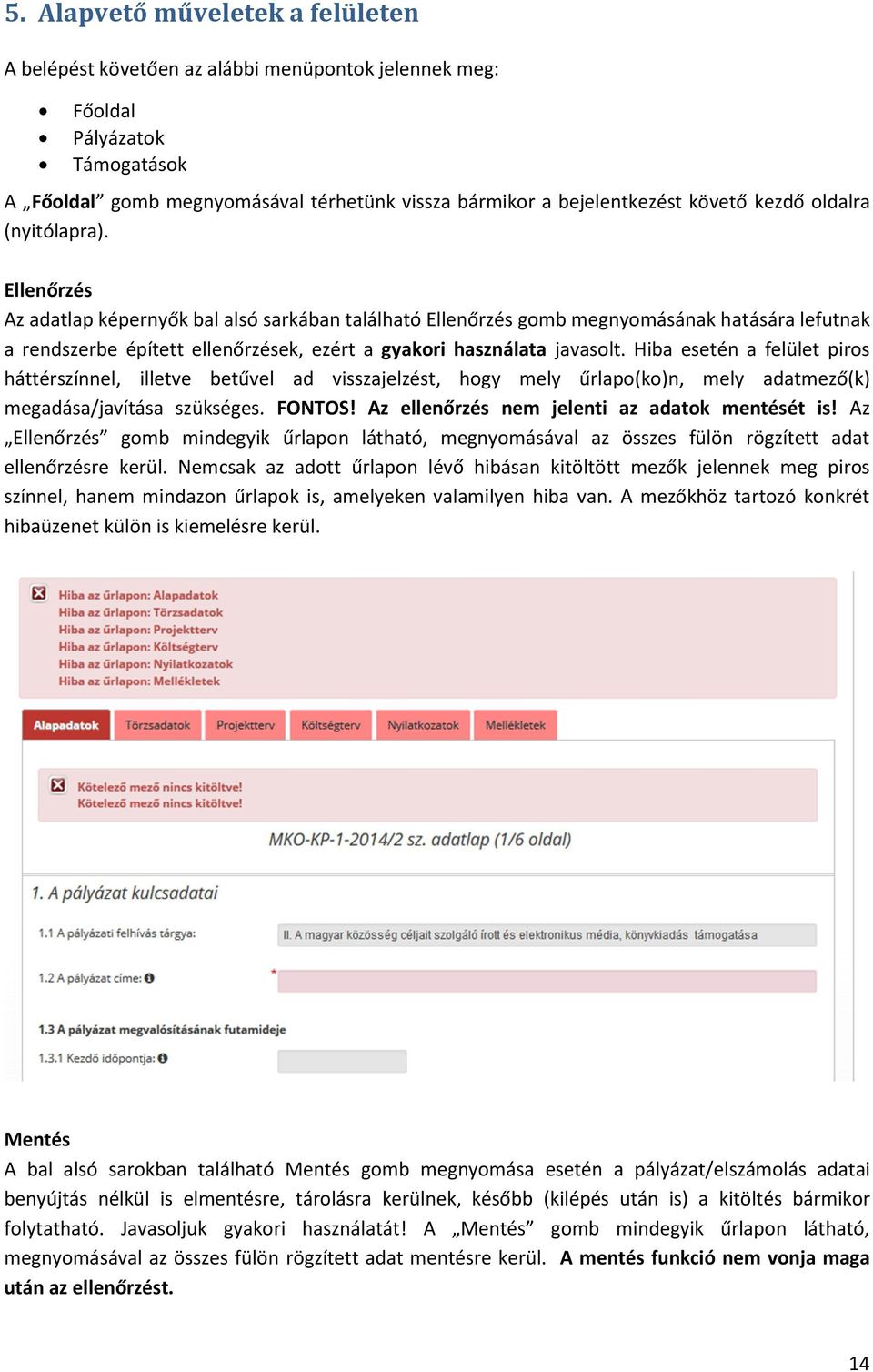 Ellenőrzés Az adatlap képernyők bal alsó sarkában található Ellenőrzés gomb megnyomásának hatására lefutnak a rendszerbe épített ellenőrzések, ezért a gyakori használata javasolt.