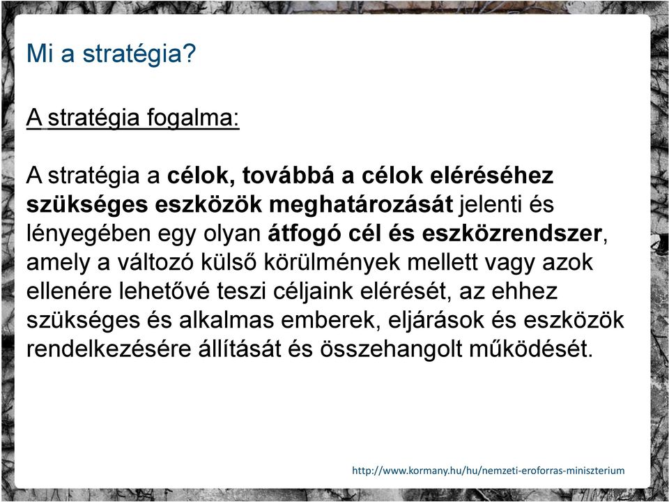 meghatározását jelenti és lényegében egy olyan átfogó cél és eszközrendszer, amely a változó