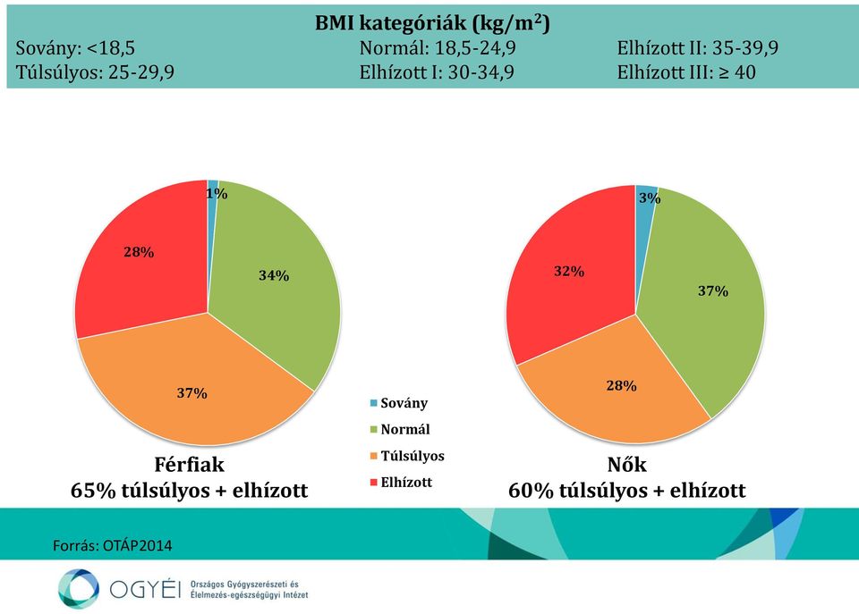 30-34,9 Elhízott III: 40 1% 3% 28% 34% 32% 37% 37% Férfiak 65% túlsúlyos +