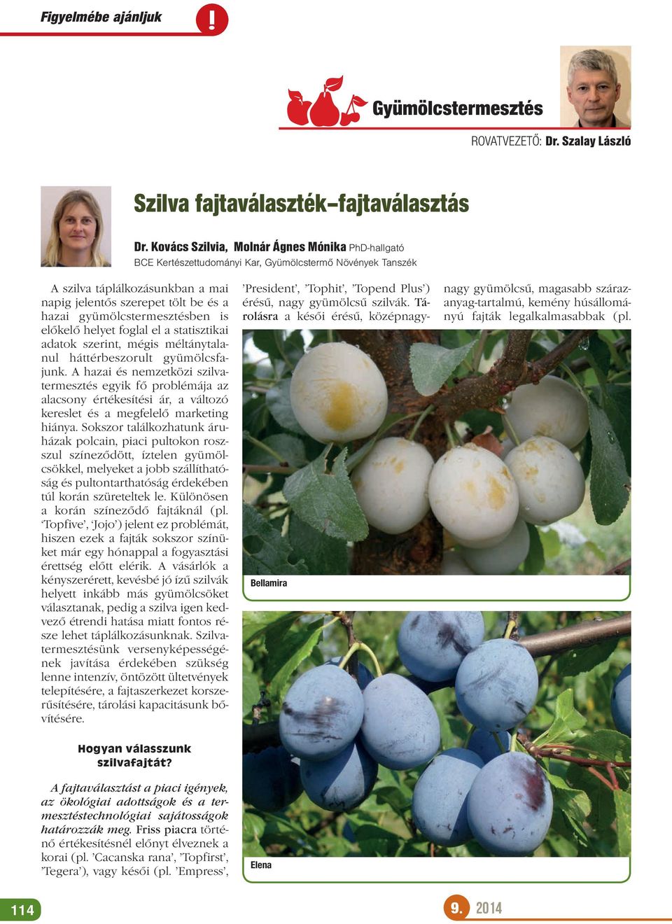 gyümölcstermesztésben is előkelő helyet foglal el a statisztikai adatok szerint, mégis méltánytalanul háttérbeszorult gyümölcsfajunk.