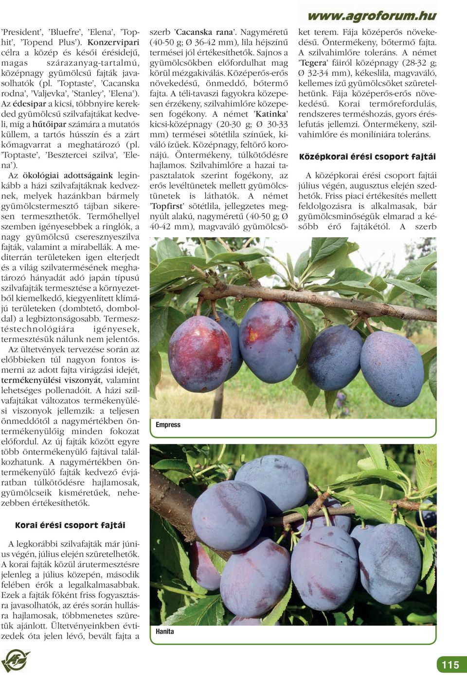 Az édesipar a kicsi, többnyire kerekded gyümölcsű szilvafajtákat kedveli, míg a hűtőipar számára a mutatós küllem, a tartós hússzín és a zárt kőmagvarrat a meghatározó (pl.