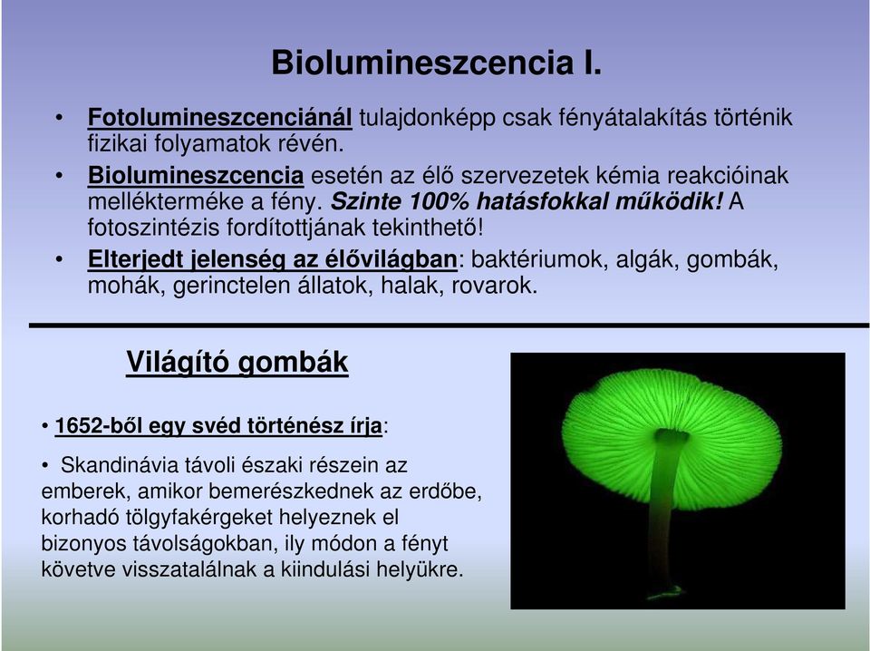 A fotoszintézis fordítottjának tekinthetı! Elterjedt jelenség az élıvilágban: baktériumok, algák, gombák, mohák, gerinctelen állatok, halak, rovarok.