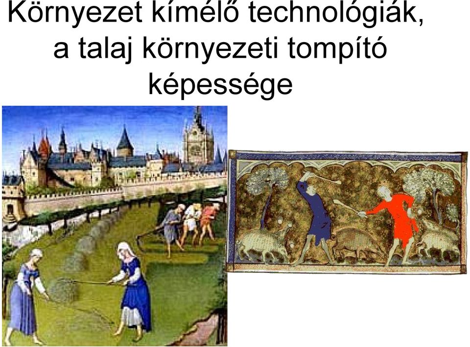 talaj környezeti