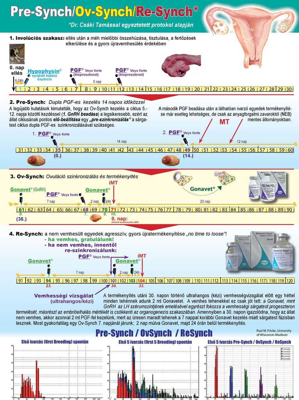 nap ellés PGF Veyx forte (kloprosztenol) Hypophysin nyújtott hatású 6-24h oxytocin 5 nap PGF Veyx forte (kloprosztenol) 1 2 3 4 5 6 7 8 9 10 11 12 13 14 15 16 17 18 19 20 21 22 23 24 25 26 27 28 29