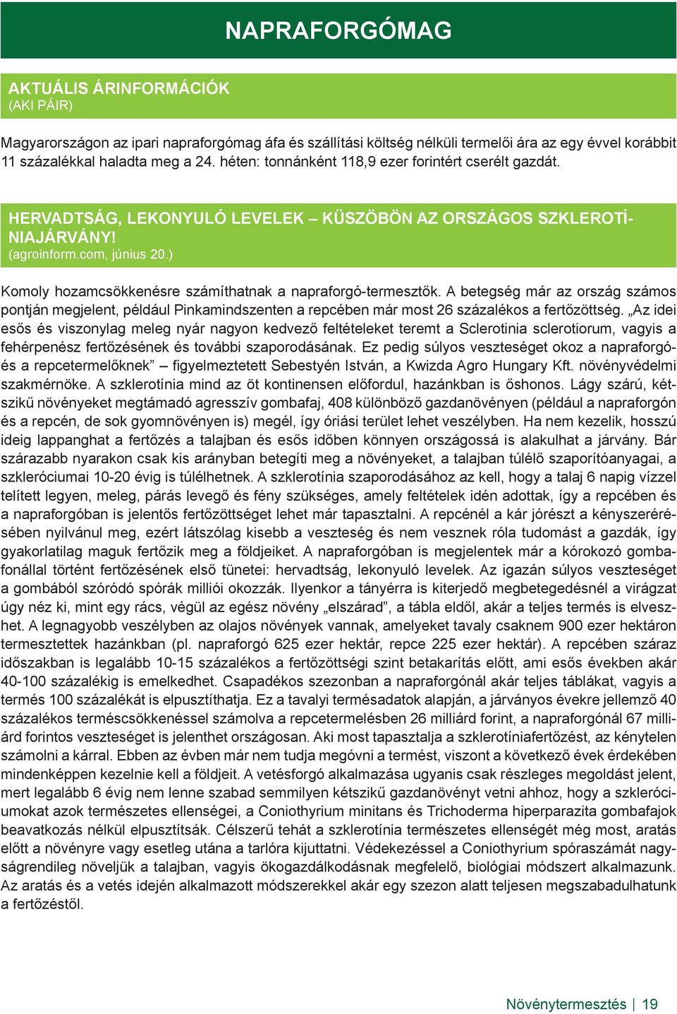 ) Komoly hozamcsökkenésre számíthatnak a napraforgó-termesztők. A betegség már az ország számos pontján megjelent, például Pinkamindszenten a repcében már most 26 százalékos a fertőzöttség.