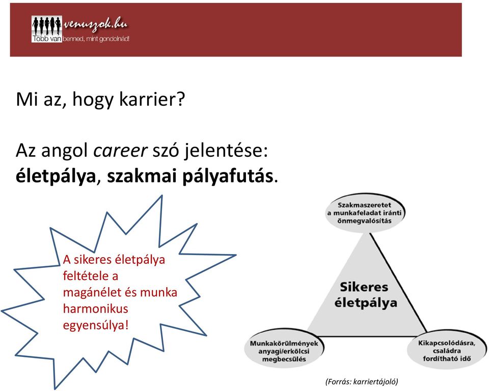 szakmai pályafutás.