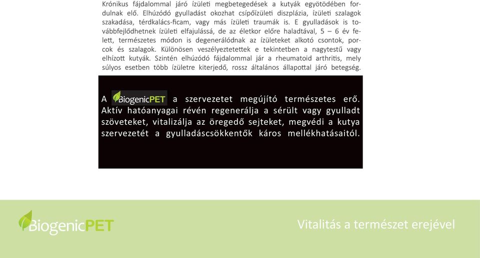 E gyulladások is továbbfejlődhetnek ízületi elfajulássá, de az életkor előre haladtával, 5 6 év felett, természetes módon is degenerálódnak az ízületeket alkotó csontok, porcok és szalagok.