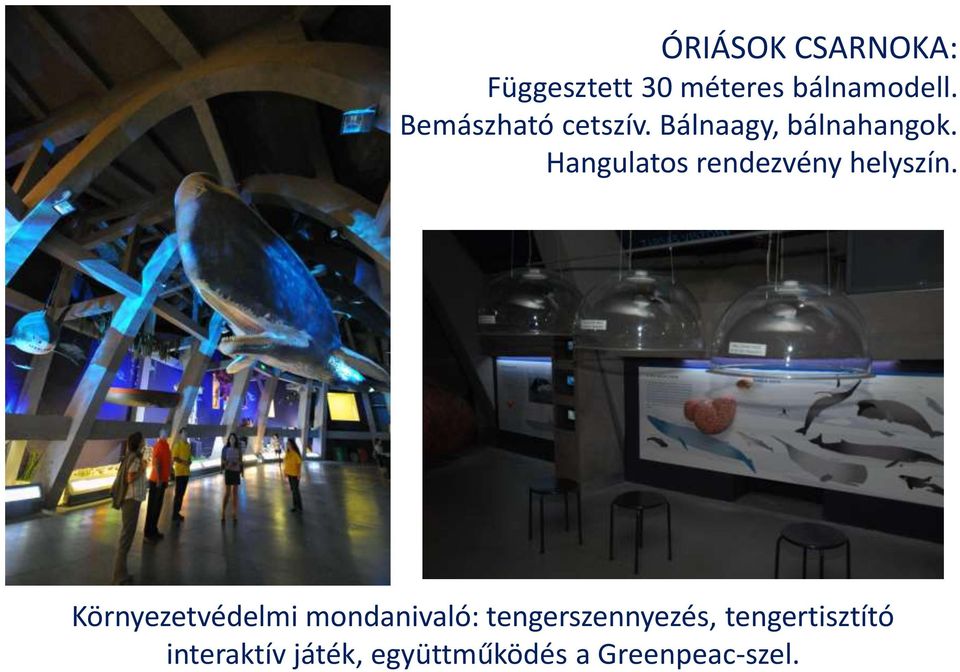 Hangulatos rendezvény helyszín.