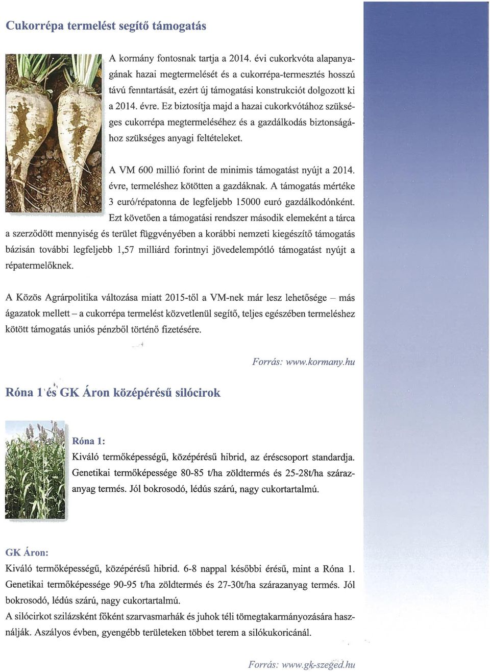 ~ ~ ~ ~ A VM 600 millió forint de minimis támogatást nyújt a 2014 évre, termeléshez kötötten a gazdáknak A támogatás mértéke 3 euró/répatonna de legfeljebb 15000 euró gazdálkodónként Ezt követően a