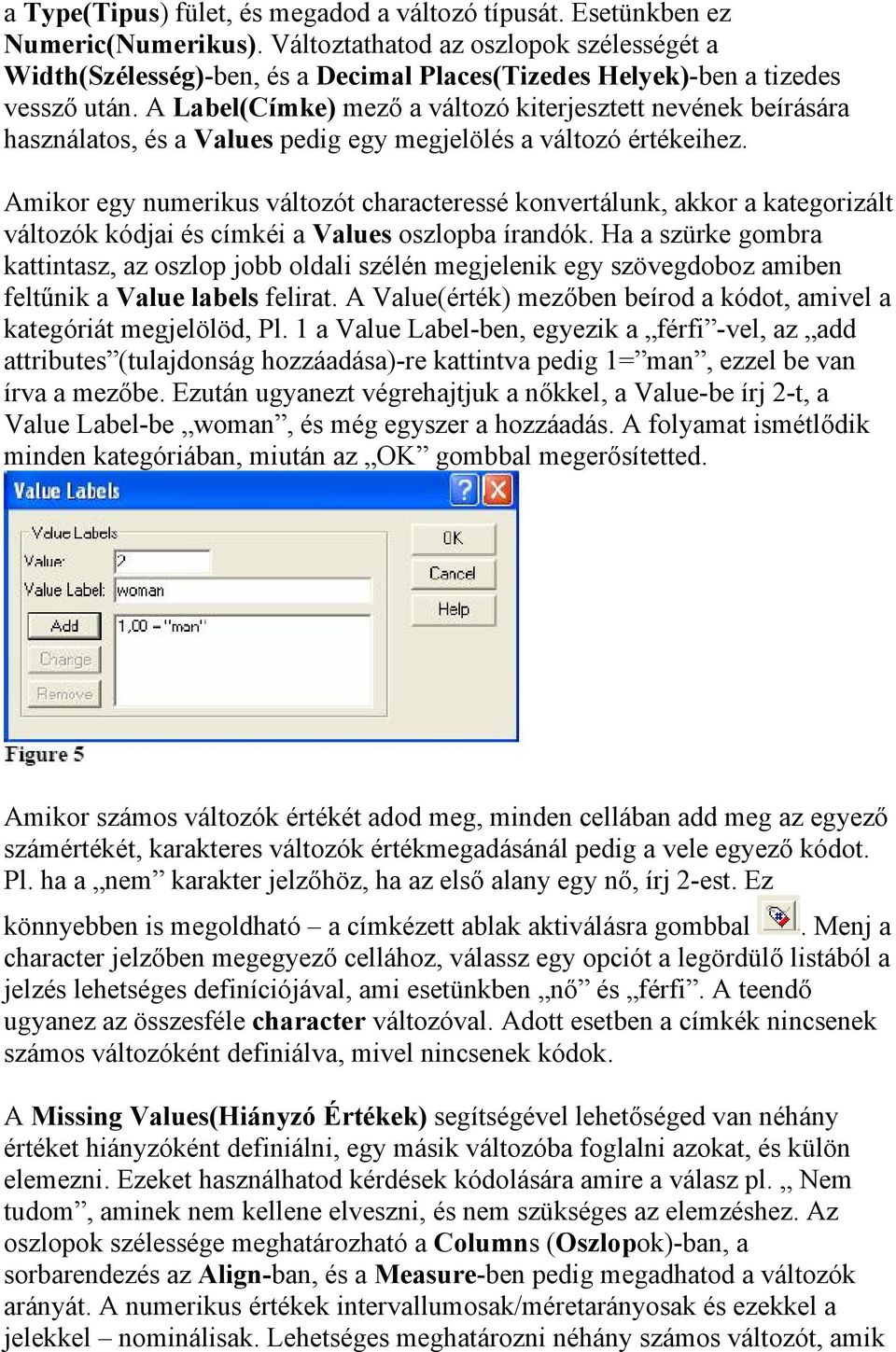 A Label(Címke) mező a változó kiterjesztett nevének beírására használatos, és a Values pedig egy megjelölés a változó értékeihez.
