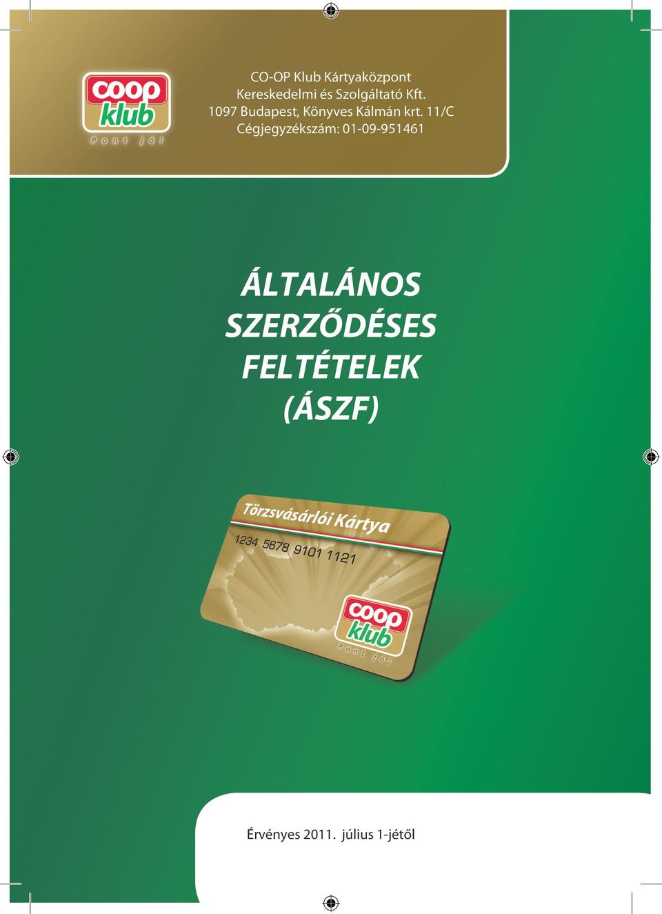 ÁLTALÁNOS SZERZŐDÉSES FELTÉTELEK (ÁSZF) - PDF Ingyenes letöltés