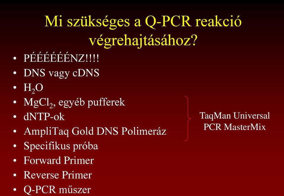 AmpliTaq Gold DNS Polimeráz Specifikus próba Forward