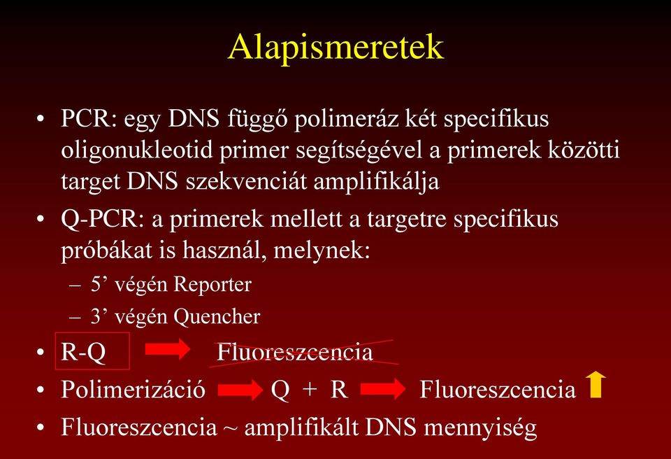 mellett a targetre specifikus próbákat is használ, melynek: 5 végén Reporter 3 végén