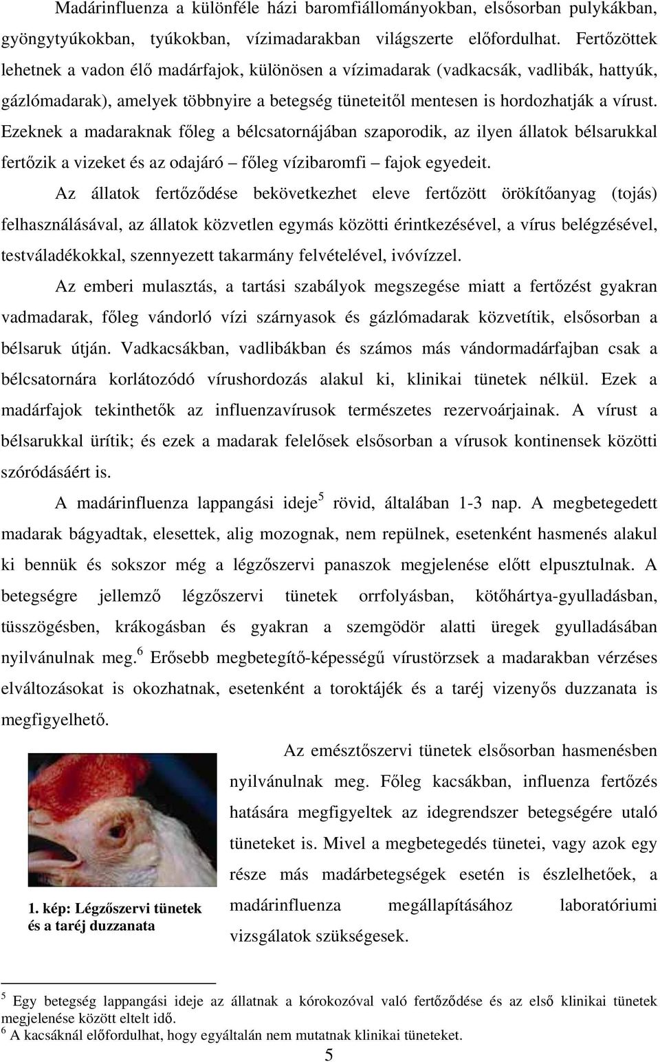 Ezeknek a madaraknak főleg a bélcsatornájában szaporodik, az ilyen állatok bélsarukkal fertőzik a vizeket és az odajáró főleg vízibaromfi fajok egyedeit.