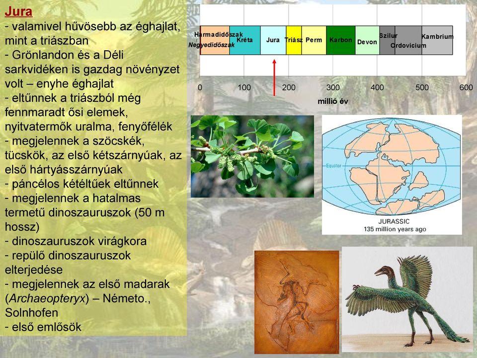 hártyásszárnyúak - páncélos kétéltűek eltűnnek - megjelennek a hatalmas termetű dinoszauruszok (5 m hossz) - dinoszauruszok virágkora - repülő