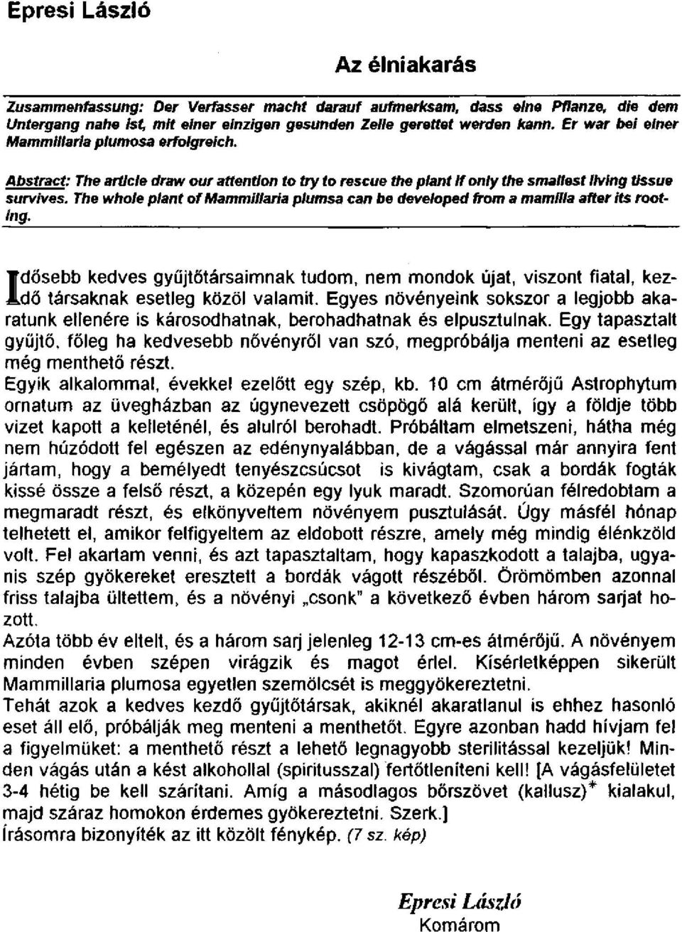 The whole plánt of Mammillaria plumsa can be developed from a mamilla afterits root- Ing. dősebb kedves gyűjtőtársaimnak tudom, nem mondok újat, viszont fiatal, kez társaknak esetleg közöl valamit.