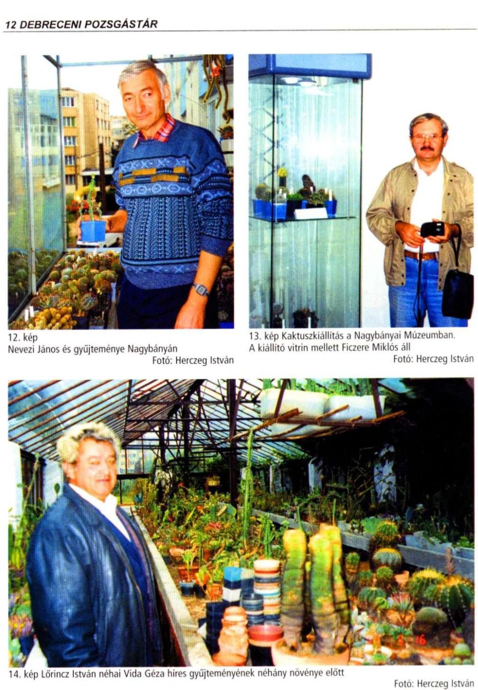 Géza híres gyűjteményének