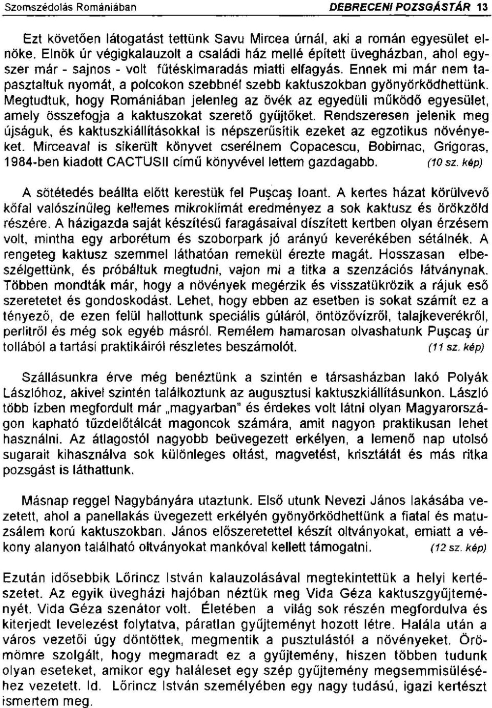 Ennek mi már nem tapasztaltuk nyomát, a polcokon szebbnél szebb kaktuszokban gyönyörködhettünk.