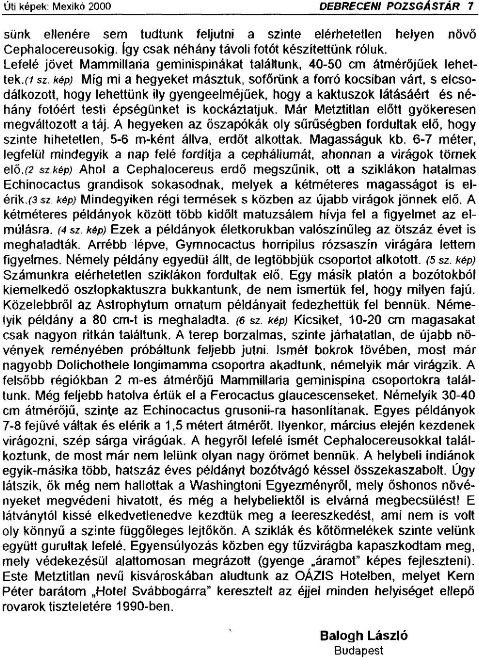 kép) Míg mi a hegyeket másztuk, sofőrünk a forró kocsiban várt, s elcsodálkozott, hogy lehettünk ily gyengeelméjűek, hogy a kaktuszok látásáért és néhány fotóért testi épségünket is kockáztatjuk.