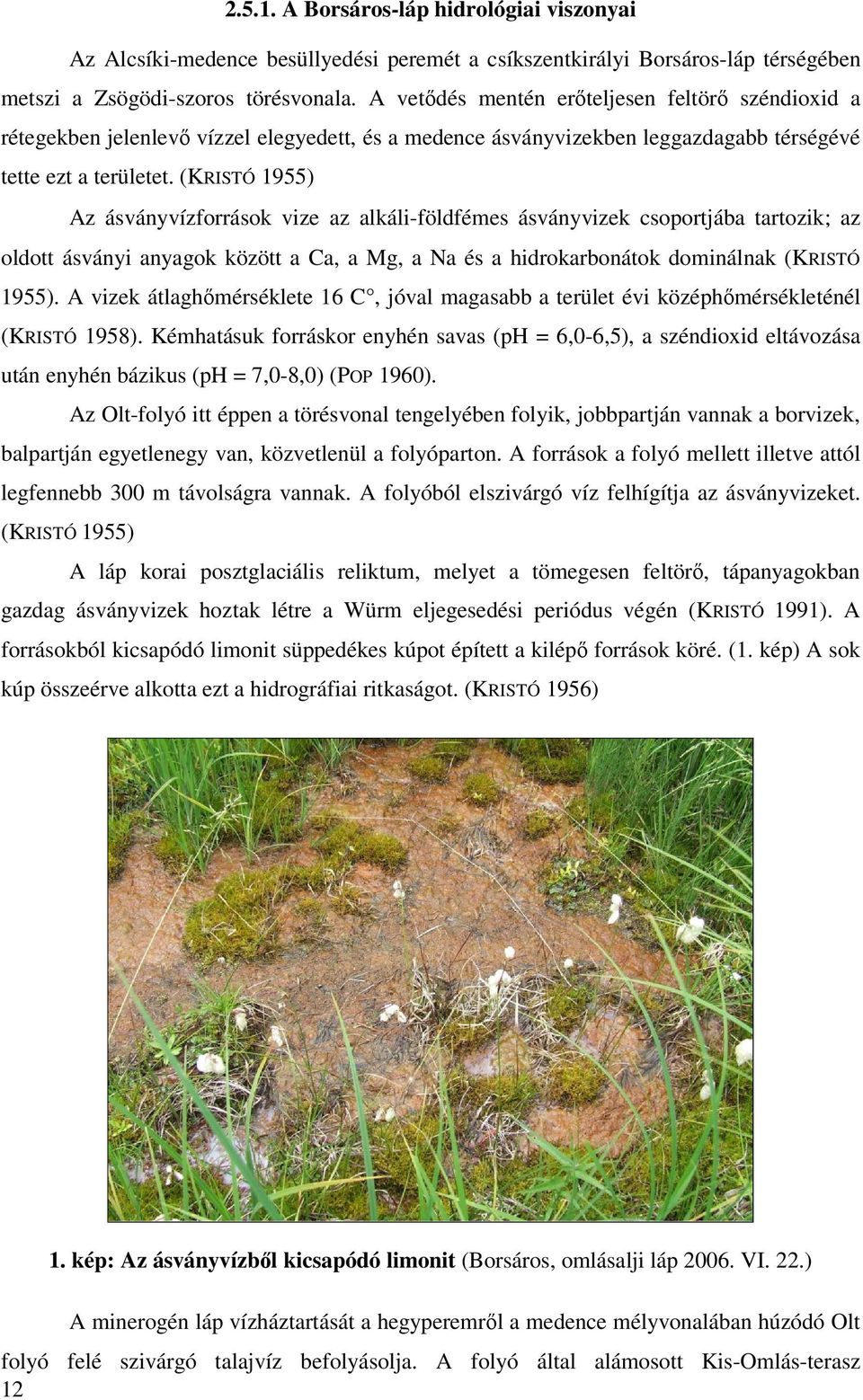 (KRISTÓ 1955) Az ásványvízforrások vize az alkáli-földfémes ásványvizek csoportjába tartozik; az oldott ásványi anyagok között a Ca, a Mg, a Na és a hidrokarbonátok dominálnak (KRISTÓ 1955).