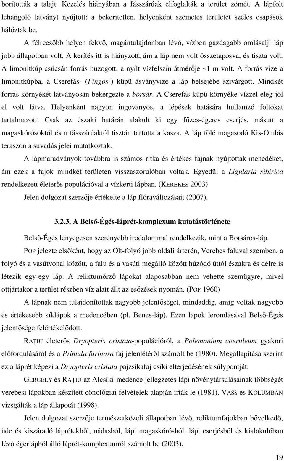 A limonitkúp csúcsán forrás buzogott, a nyílt vízfelszín átmérője ~1 m volt. A forrás vize a limonitkúpba, a Cserefás- (Fingos-) küpü ásványvize a láp belsejébe szivárgott.