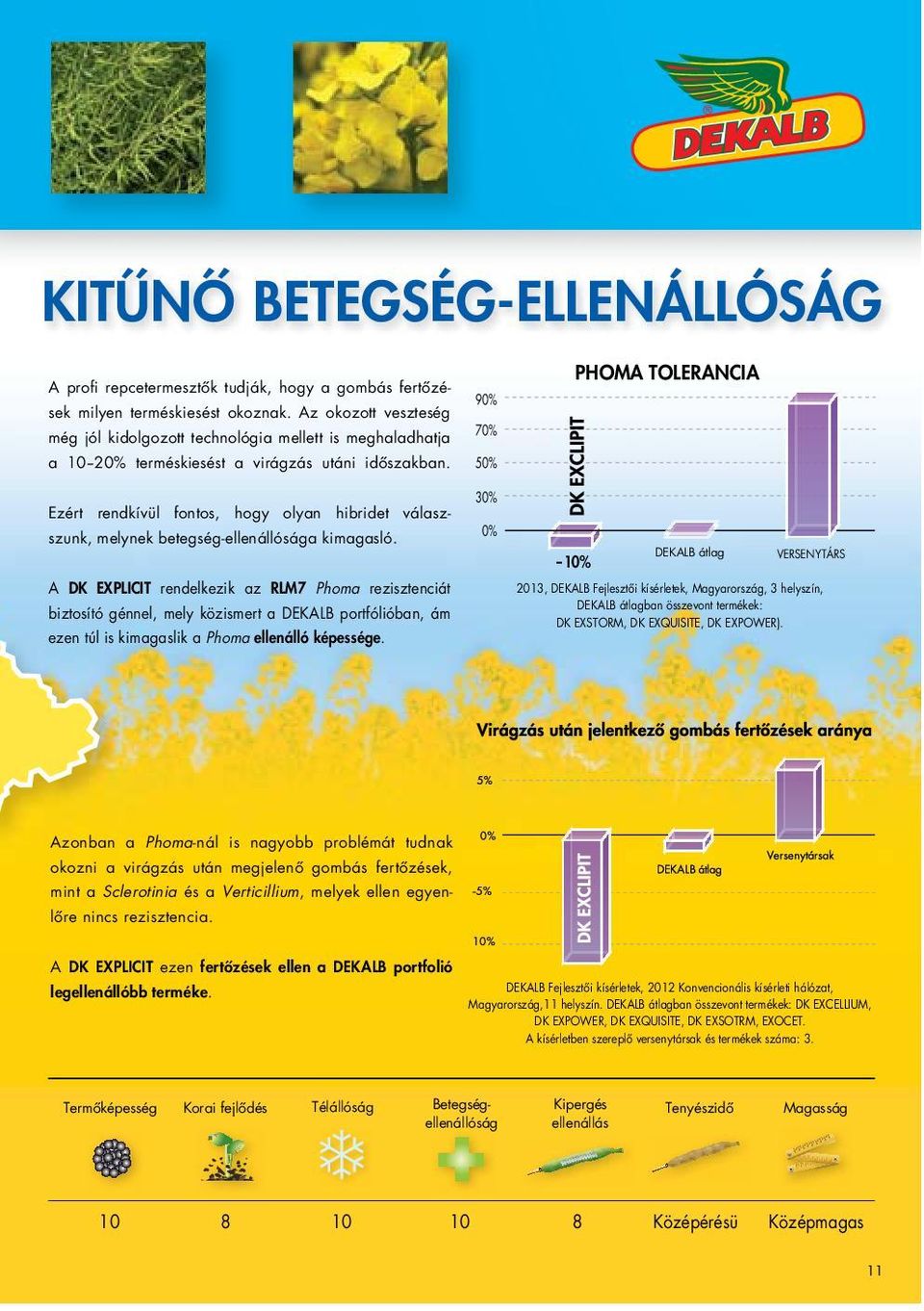 Ezért rendkívül fontos, hogy olyan hibridet válaszszunk, melynek betegség-ellenállósága kimagasló.