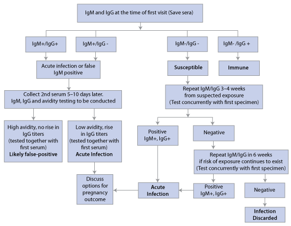 Algorithm for serologic evaluation of pregnant women exposed to rubella Országos