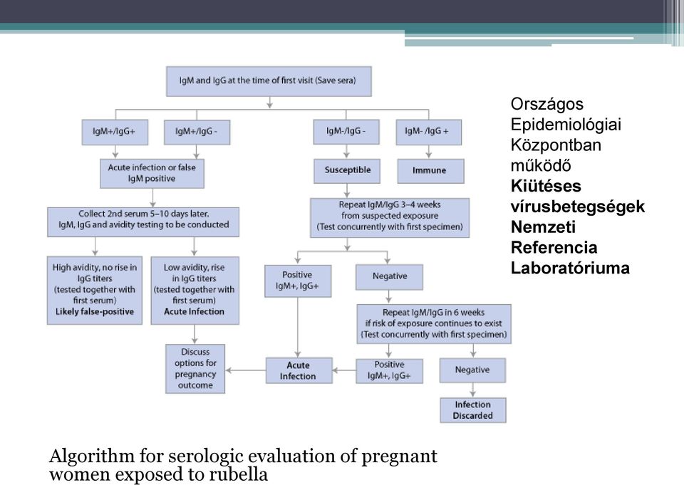 Epidemiológiai Központban működő Kiütéses