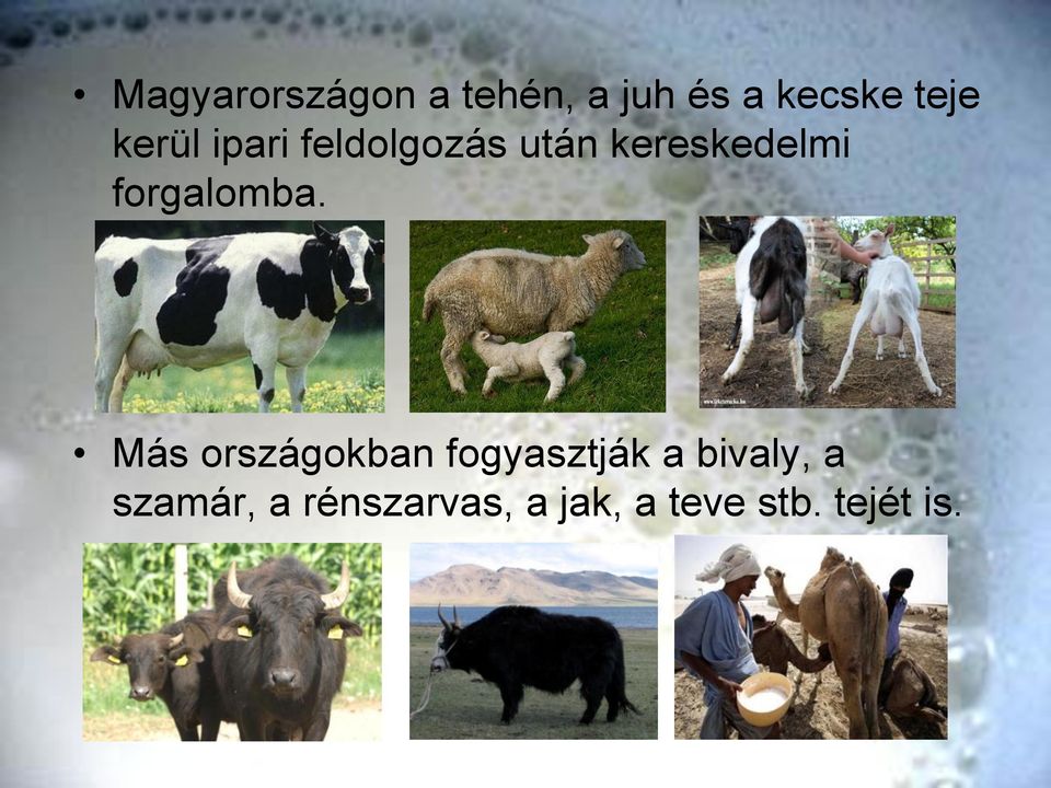 forgalomba.