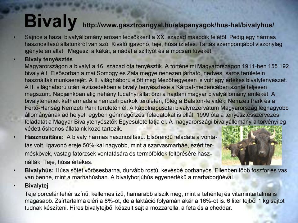 század óta tenyésztik. A történelmi Magyarországon 1911-ben 155 192 bivaly élt. Elsősorban a mai Somogy és Zala megye nehezen járható, nedves, sáros területein használták munkaerejét. A II.