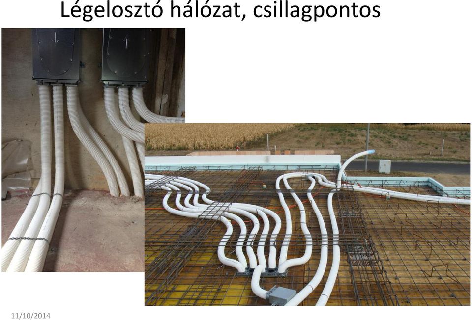 hálózat,