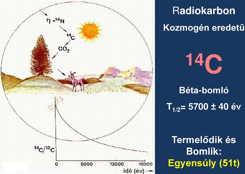 1/2 = 5700 ± 40 év