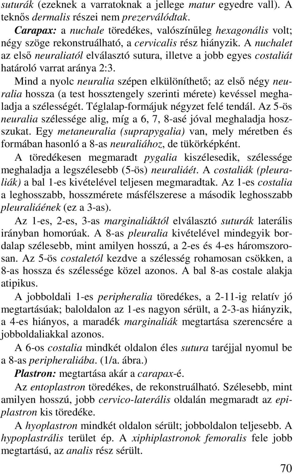 A nuchalet az első neuraliatól elválasztó sutura, illetve a jobb egyes costaliát határoló varrat aránya 2:3.