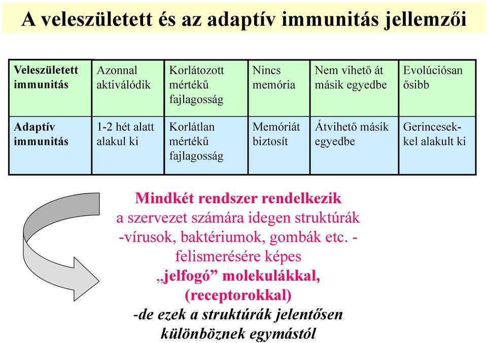 biztosít Átvihető másik egyedbe Gerincesekkel alakult ki Mindkét rendszer rendelkezik a szervezet számára idegen struktúrák -vírusok,