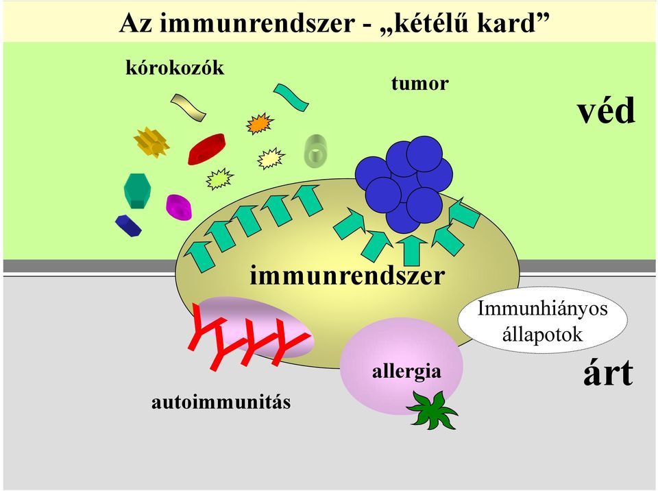 immunrendszer Immunhiányos