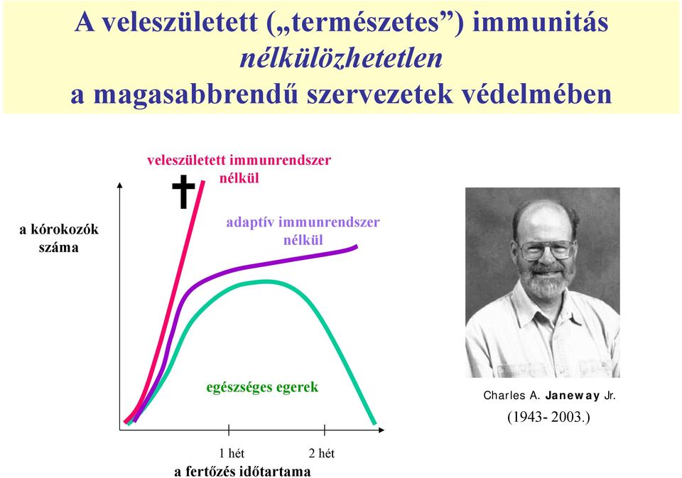 nélkül a kórokozók száma adaptív immunrendszer nélkül egészséges